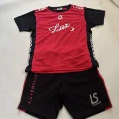 ルースイソンブラ　上140 下130