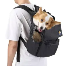 愛犬といつも一緒‼️犬用⭐️キャリーバッグ⭐️ ブラック　M
