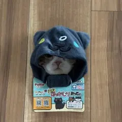 Item thumbnail for item 62e15fc0-b799-45a4-b03a-4347a8f4cf8e