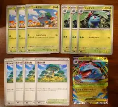 メガフシギバナex、フシギソウ、フシギダネ、活力の森セット　進化ライン