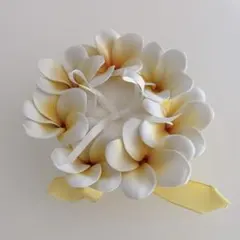 Item thumbnail for item a9418b13-e218-43d0-a6dc-9ea44426e400