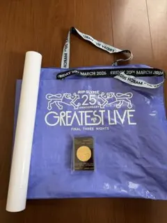 値下げRIPSLYME リップスライム LIVE 入場者限定グッズ銀テ3本付き 3日分】RIP SLYME GREATEST LIVE 入場特典 メダル 銀テープ 銀テ