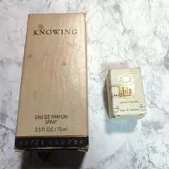 2026年最新】エスティローダー knowingの人気アイテム - メルカリ