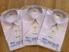 Item thumbnail for item 0f66d494-97be-4e9d-87eb-14b4fbc3e194