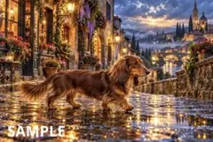 【No.8】ダックスフンド　夕暮れの街並み　ポストカード 犬 イラスト はがき