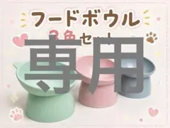 フードボウル 食べやすい 猫 犬 ペット 食器 3色セット 餌入れ 猫耳 可愛いのサムネイル