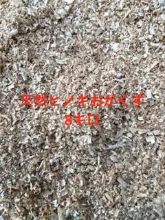 Item thumbnail for item 6fcc3117-e1eb-4d35-b5c4-373e62e36e7c