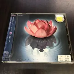 サディスティック・ミカ・バンド