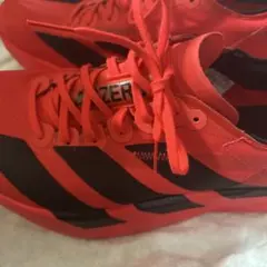 は*ち様 adidas ADIZERO ADIOS PRO4
