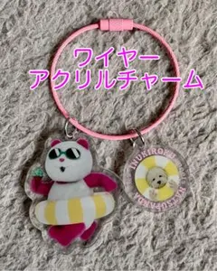 【非売品】イオン 犬記録 ナツパンダ ワイヤーアクリルチャーム ダッシュのサムネイル