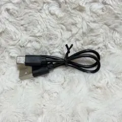 USB Type-C ケーブル ブラック 充電ケーブル
