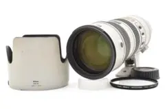 NIKON AF-S 300mm F2.8 D ED ライトグレー Y3974 - メルカリ