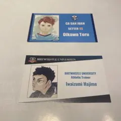 ハイキュー　ファンパーク　名刺カードコレクション