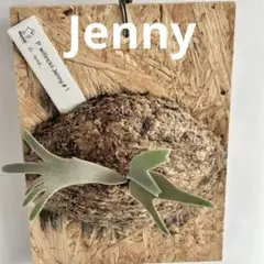 2026年最新】willinckii jennyの人気アイテム - メルカリ