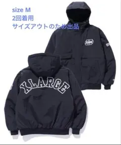 Item thumbnail for item 3fa7bc5b-c611-42a8-b603-670e1443d0e7