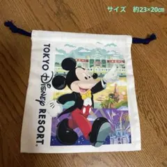 【新品未使用品】東京ディズニーリゾート 巾着ポーチ ミッキー ミニー