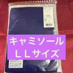 シャルレの胸元レースキャミソールLLサイズです♪お値下げ！