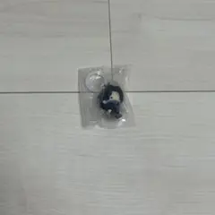 HUNTER × HUNTER フェイタン　めじるしアクセサリー　幻影旅団編①