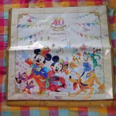 ディズニーランド ショッピングバッグ M 40周年 グランドフィナーレ