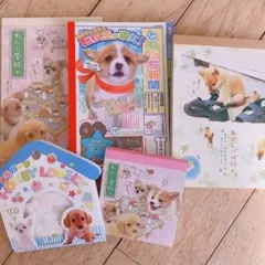 平成　レトロ　メモ帳　犬　まとめ売り