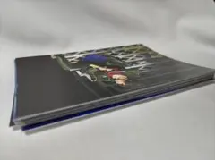 11ミュージカル刀剣乱舞 葵咲本紀 ローソンプリント ブロマイド 21枚セット