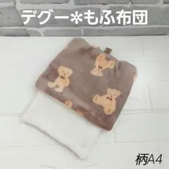 デグー布団★もふタイプ✼柄A4