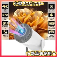 Item thumbnail for item 413b4960-6159-4840-9053-ff208ea8cbe1