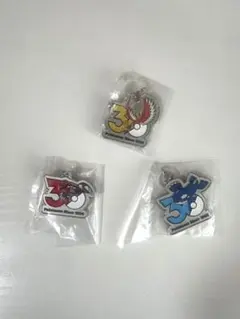 ポケモン 30周年記念 メタルチャームマスコット 3種セット
