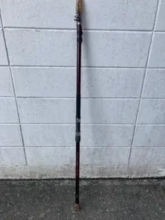 2025年最新】石突 竿の人気アイテム - メルカリ