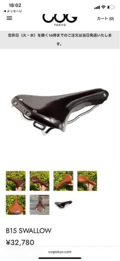 2026年最新】brooks サドル swallowの人気アイテム - メルカリ