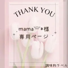 mama ̀⁽ᵕ̈⁾ ́*様　調味料ラベルシール① 調味料入れ キャニスターのサムネイル