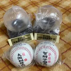 ◯ 第87回センバツ高校野球 実使用ファールボールとその時のチケット 