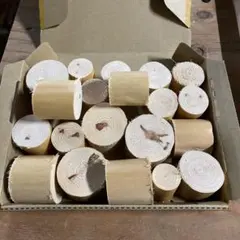 hiromichi sato様専用② 京都　北山杉　磨き丸太屋の端材　20個-5