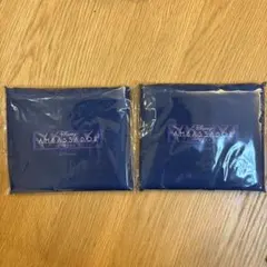 ディズニー　アンバサダーホテル　エコバッグ　２個