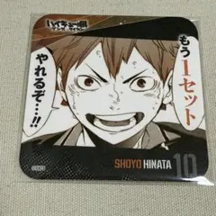 ハイキュー!! 青春激励コースター 日向翔陽