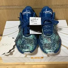 未使用 ナイキ LeBron 21 Abalone 27cm レブロン - メルカリ
