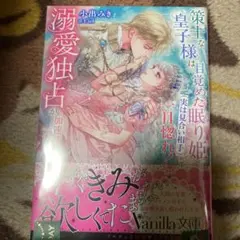 新刊 文学・小説