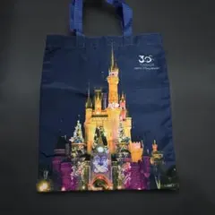 東京ディズニーリゾート 30周年記念『ハピネス』トートバッグ未使用