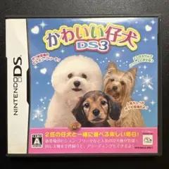 かわいい仔犬DS3
