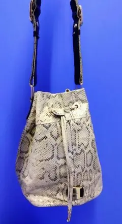 ジャンフランコフェレ　FERRE　ショルダーバッグ 牛革　パイソン型押し