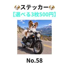 【3枚500円】ステッカー　パピヨン　バイク　犬　No.58