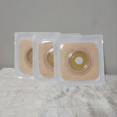 Item thumbnail for item 9c37e977-400d-4b1d-a33f-a8f71e4e2986