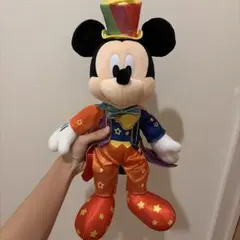 東京ディズニーリゾート 40周年 ミッキー ぬいぐるみ - メルカリ