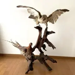 【激レア・完全受注生産】鎧モスラエターナル フィギュア 激レア・完全受注生産】鎧モスラエターナル フィギュア - メルカリ