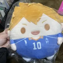 日向翔陽 くじメイト ぬいくじ ハイキュー タイトーくじ C賞 お座りマスコット 日向翔陽 ぬいぐるみ