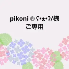 pikoni®️ʕ•ᴥ•ʔ/様　ご専用