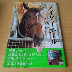 2026年最新】メイケイエールの人気アイテム - メルカリ