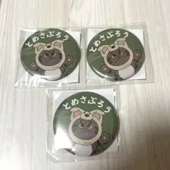 匿名配送：忍たま乱太郎ドクタケ忍者隊最強の軍師inナンジャタウンC賞とめさぶろう