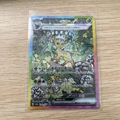 リーフィアex SAR ソウブレイズex テラパゴスex