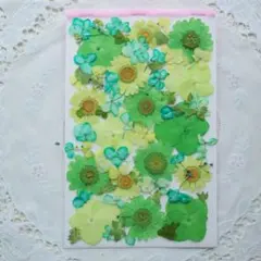 Item thumbnail for item 5bf8ec1e-2082-469d-8d3a-87fa3f5aab0e